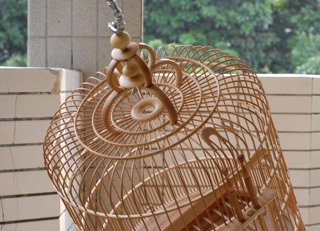 Decorative Bird Cages