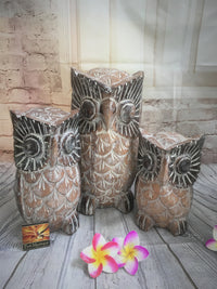 Balinese Hand Carved Timber Wise Owls Set of 3