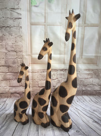 Set of 3 sitting Giraffes