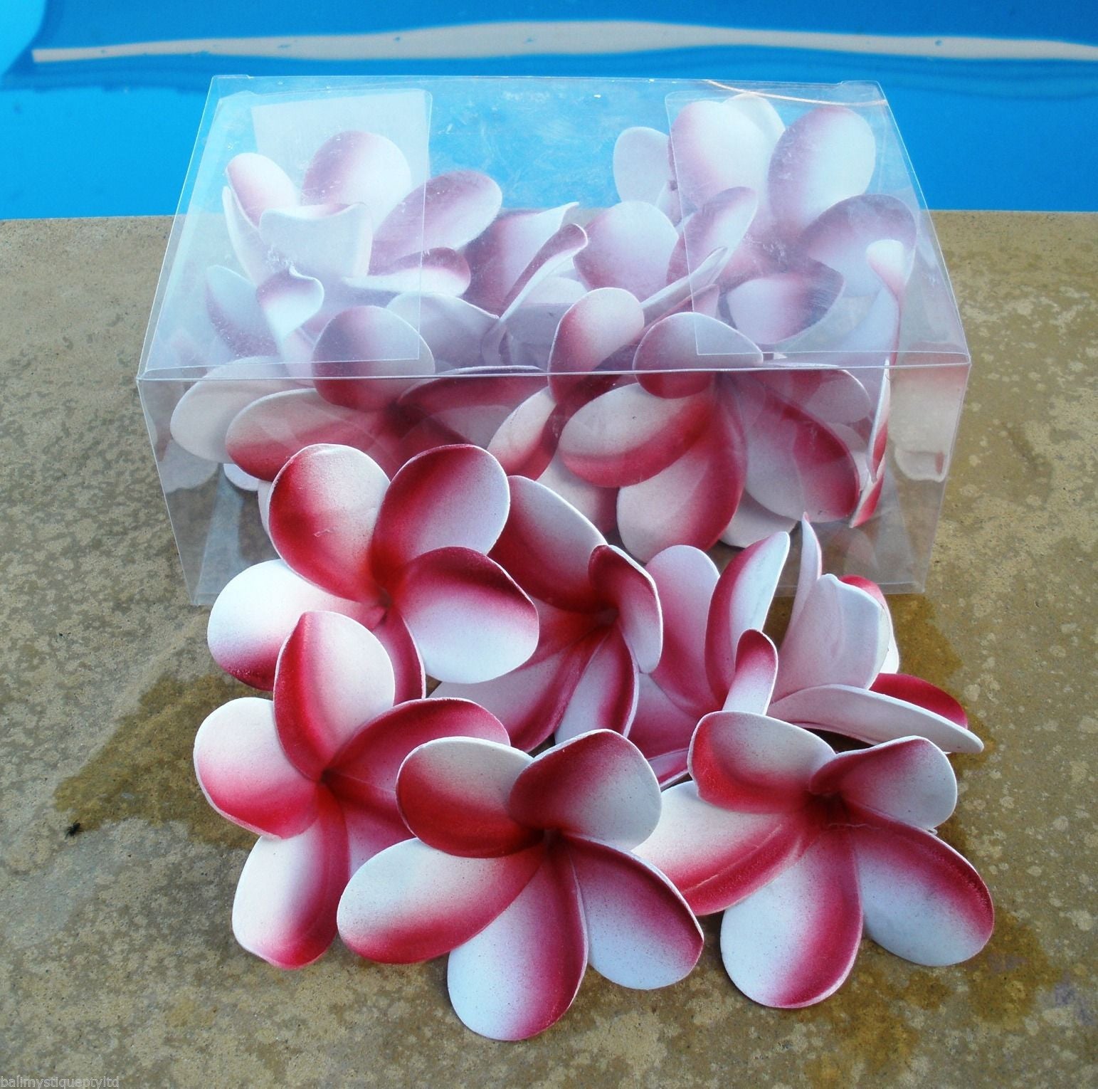 Foam Pink/White Frangipani Flowers Boxed Pack 24 Wedding Scatters